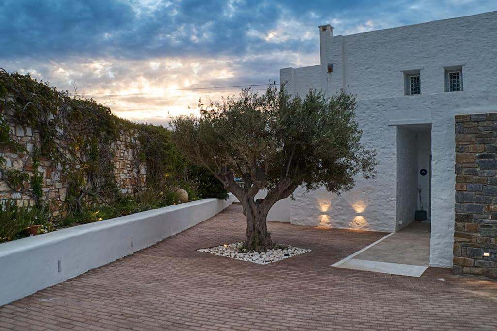 Grand Villa Reve Νάουσα Εξωτερικό φωτογραφία
